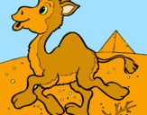 Desenho Camelo pintado por Pedro