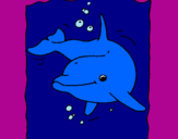 Desenho Golfinho pintado por Braian 4 anos
