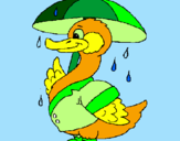 Desenho Pato sob a chuva pintado por Rebec@