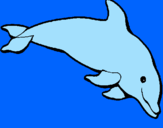 Desenho Golfinho contente pintado por joão marcello
