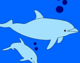Desenho Golfinhos pintado por joão marcello