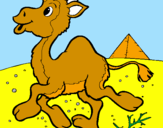 Desenho Camelo pintado por Laila