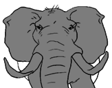Desenho Elefante africano pintado por eduardo