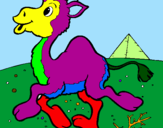 Desenho Camelo pintado por pedrosaboya