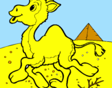 Desenho Camelo pintado por vinicius