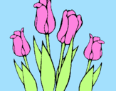 Desenho Tulipa pintado por joão marcello