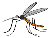 Desenho Mosquito pintado por stefany