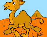 Desenho Camelo pintado por elisa