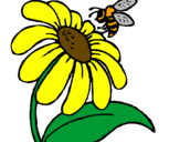 Desenho Margarida com abelha pintado por andrea