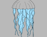 Desenho Medusa pintado por zick e joão