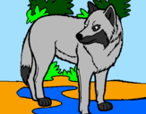 Desenho Lobo pintado por Lobo Cinzento