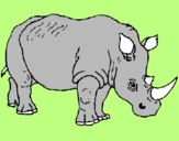 Desenho Rinoceronte pintado por pedro