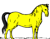 Desenho Cavalo andaluz pintado por corcel