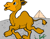 Desenho Camelo pintado por pintinho amarelinho