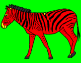 Desenho Zebra pintado por zick e joão