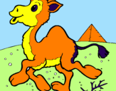 Desenho Camelo pintado por dominiqueee
