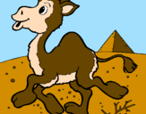 Desenho Camelo pintado por rafaela