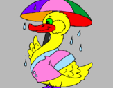 Desenho Pato sob a chuva pintado por emanuele  caldas