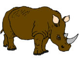Desenho Rinoceronte pintado por Camila