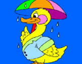 Desenho Pato sob a chuva pintado por lau pato na chuva....