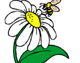 Desenho Margarida com abelha pintado por gabriel