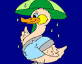 Desenho Pato sob a chuva pintado por Pedro