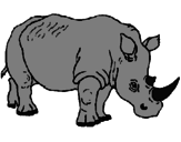 Desenho Rinoceronte pintado por Endryl
