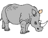 Desenho Rinoceronte pintado por marcos