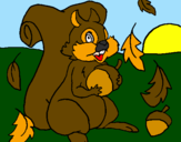 Desenho Esquilo pintado por bruna