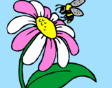 Desenho Margarida com abelha pintado por Evellin 
