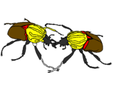 Desenho Escaravelhos pintado por jose LUIS