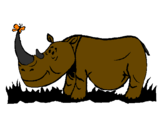 Desenho Rinoceronte e borboleta pintado por Camila