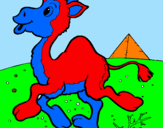 Desenho Camelo pintado por raiany