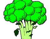 Desenho Brócolos pintado por tatitiana