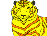 Desenho Tigre pintado por pegasus
