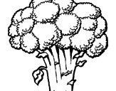 Desenho Brócolos pintado por beterraba