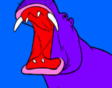 Desenho Hipopótamo com a boca aberta pintado por lucas m