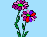 Desenho Margaridas pintado por arantza flores leal 3d