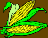 Desenho Espiga de milho  pintado por Laura espiga de milho