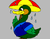Desenho Pato sob a chuva pintado por Entony S. Camargo
