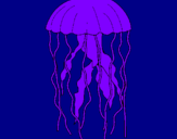 Desenho Medusa pintado por Entony S. Camargo