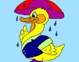 Desenho Pato sob a chuva pintado por eliziane