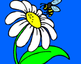 Desenho Margarida com abelha pintado por keyla karine