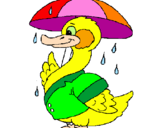 Desenho Pato sob a chuva pintado por Leninha