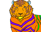 Desenho Tigre pintado por Douglas/Guguzinho