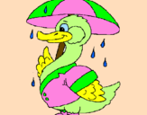 Desenho Pato sob a chuva pintado por Duda