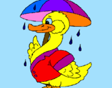 Desenho Pato sob a chuva pintado por maria eduarda