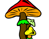 Desenho Cogumelos pintado por mafalda duarte