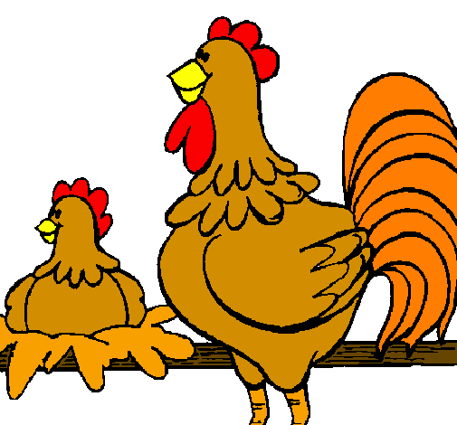 Desenho Galo e galinha pintado por galinhas