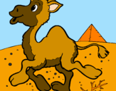 Desenho Camelo pintado por jonathan